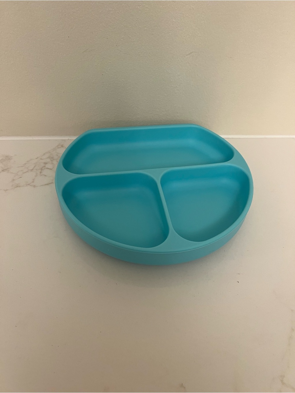Turquoise Silicone Divided Plate Suction Bottom